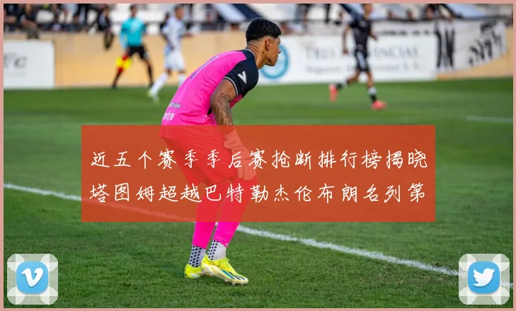 近五个赛季季后赛抢断排行榜揭晓塔图姆超越巴特勒杰伦布朗名列第三